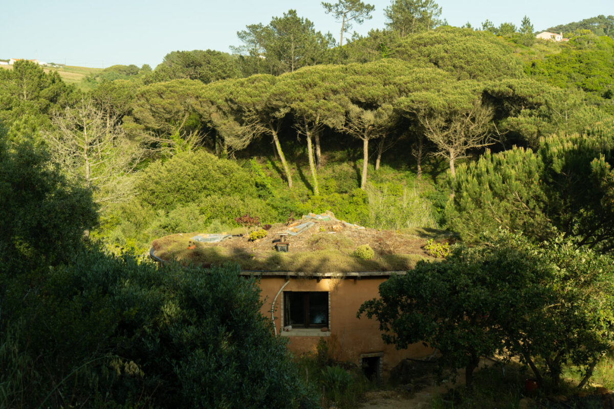 Offgrid Experience